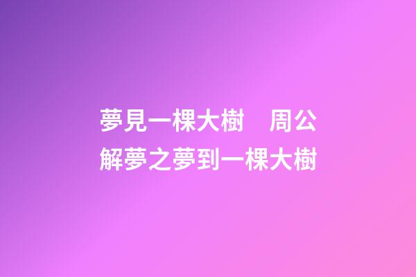 夢見一棵大樹　周公解夢之夢到一棵大樹